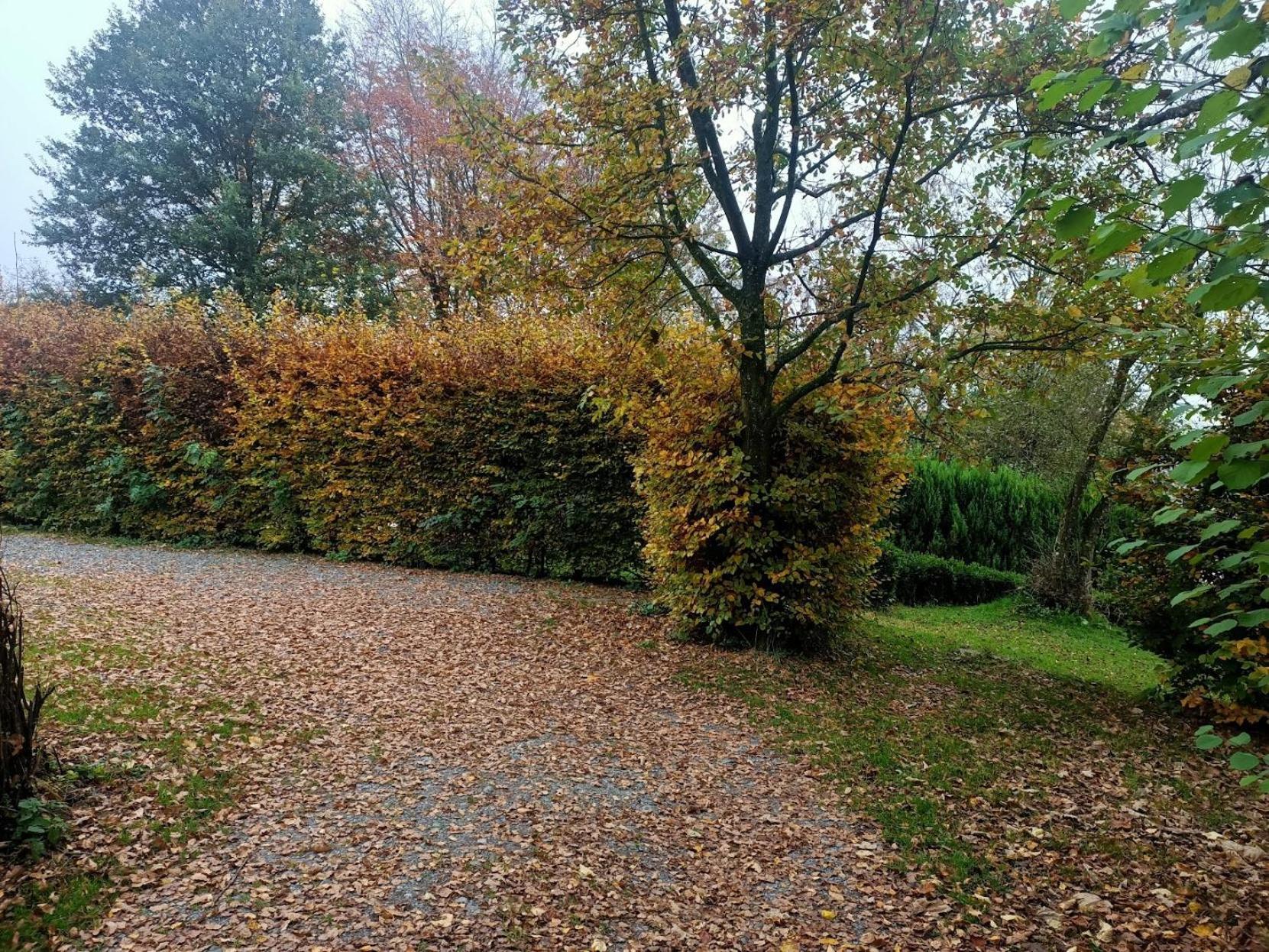 Villa Dri Les Courtils La-Roche-en-Ardenne Esterno foto